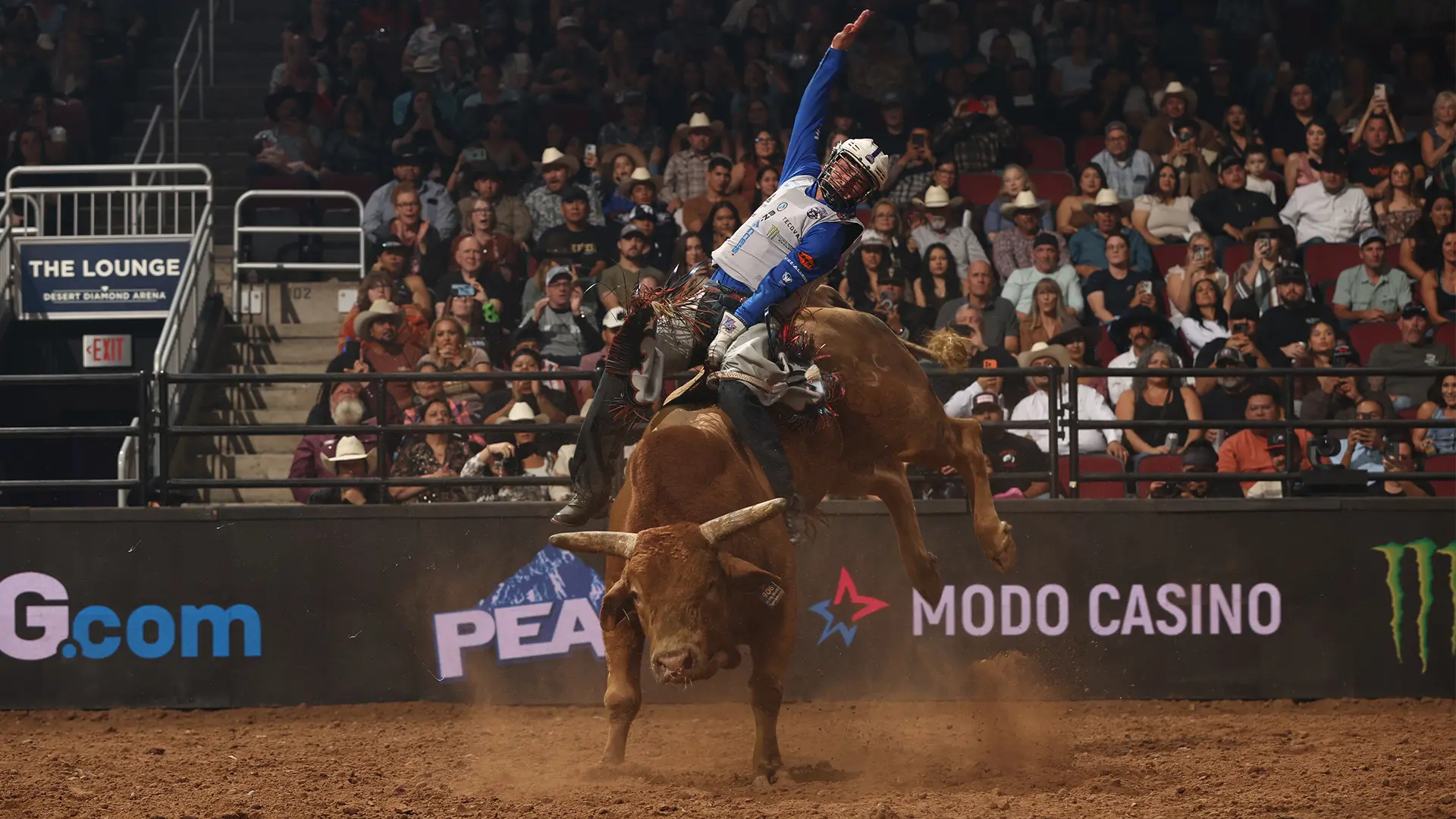 New York Mavericks ride into history with first-ever perfect game