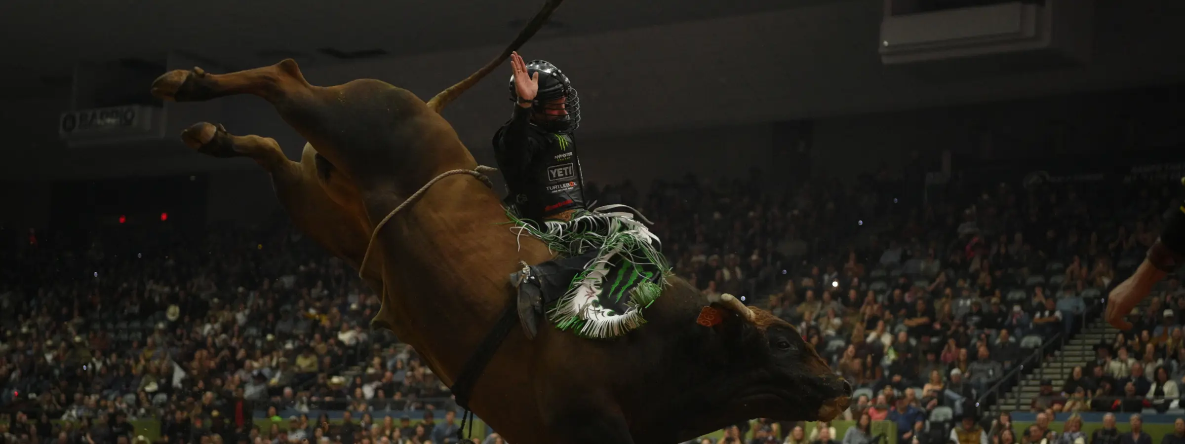 PARAMOUNT+ TAKES ON THE BEAST